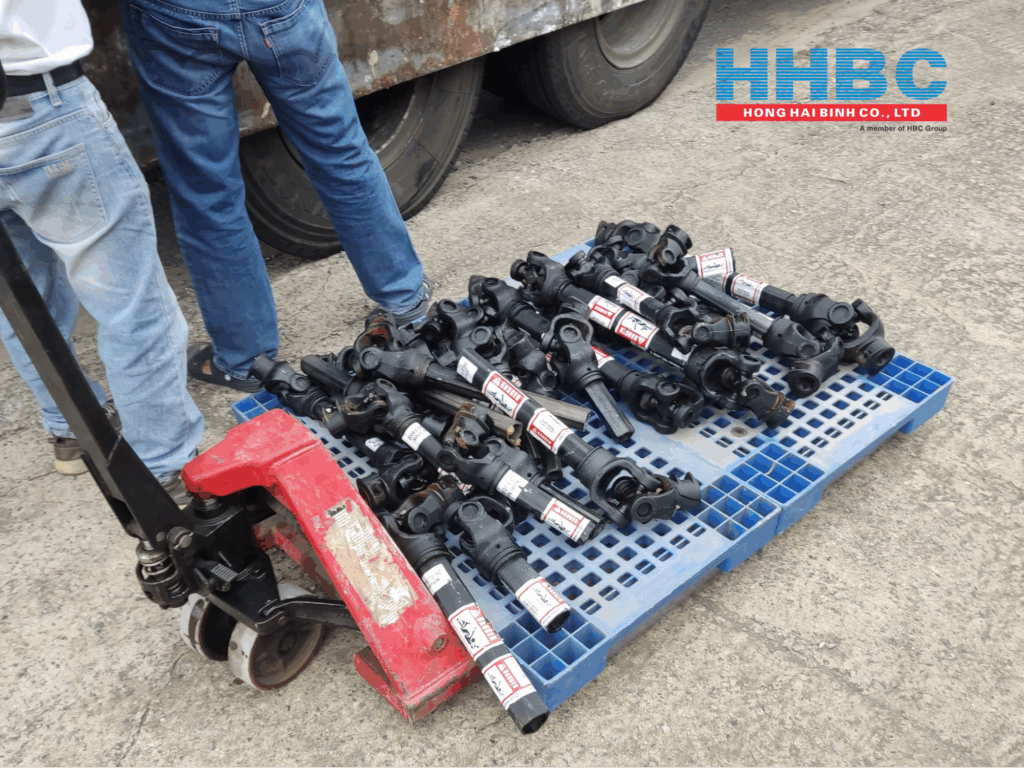 Hình ảnh Cardan La Magdalena