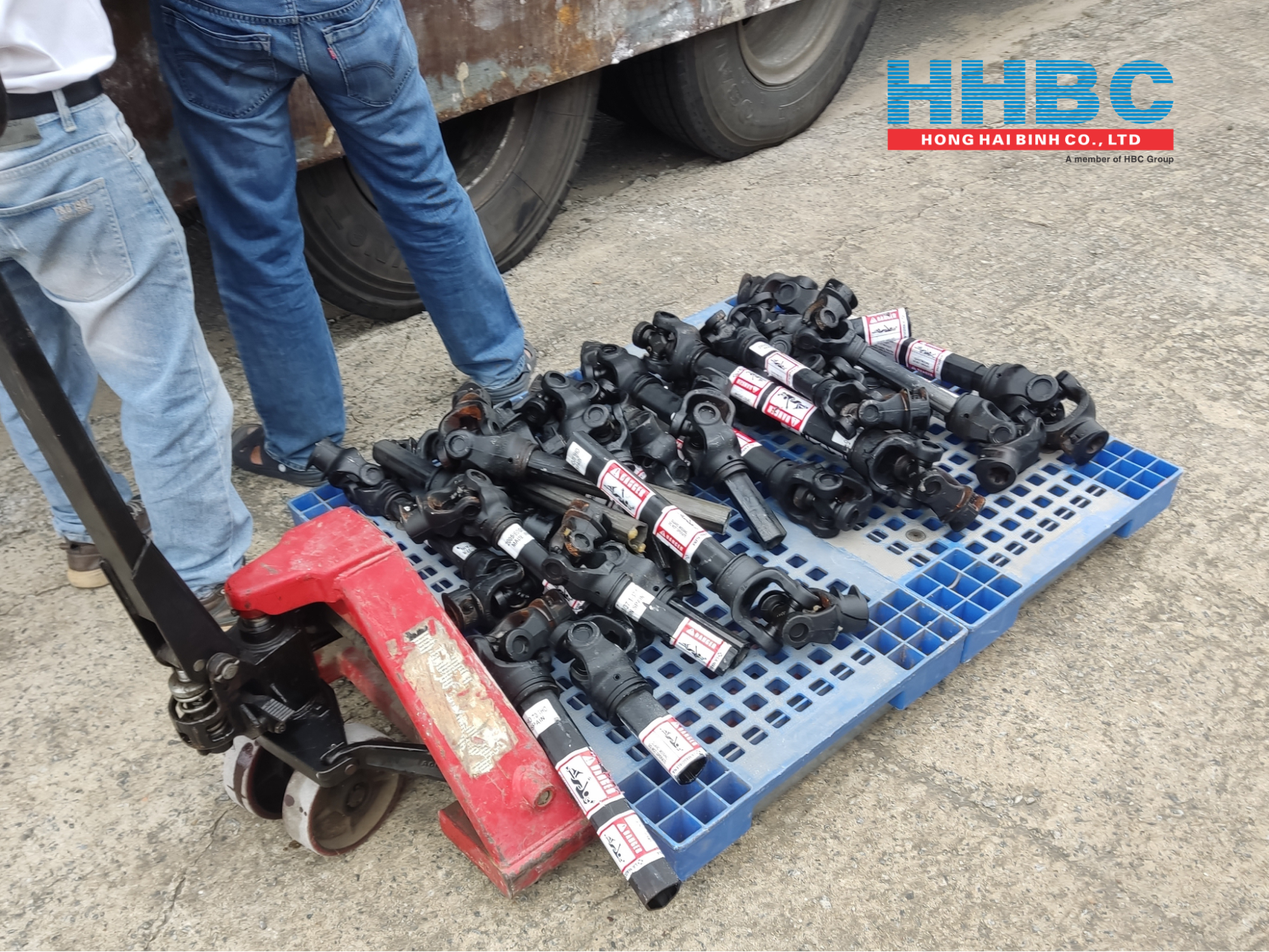 Hình ảnh Cardan La Magdalena